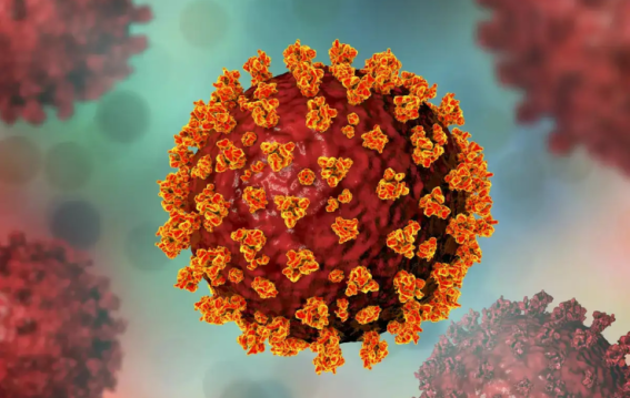 India Records Over 1,000 Active COVID-19 Cases Amid Rise in JN.1 and BA.2 Variants